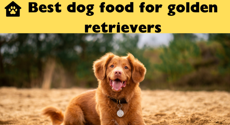 BEST DOG FOOD FOR GOLDEN RETRIEVERS