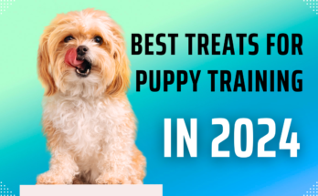 Best treats for puppy training in 2024