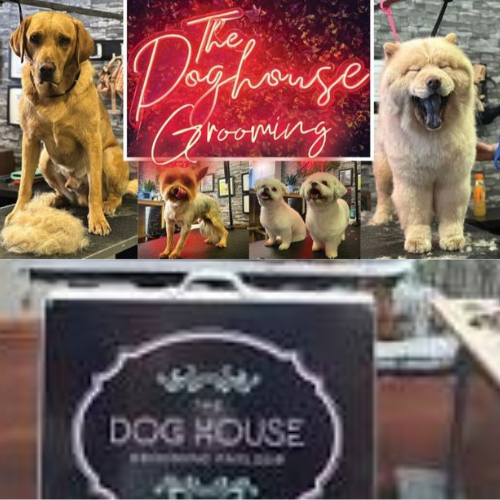 Dog  House Grooming