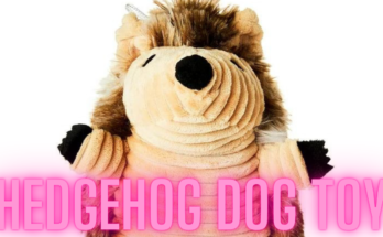 HEDGEHOG DOG TOYS