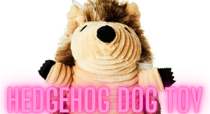 HEDGEHOG DOG TOYS