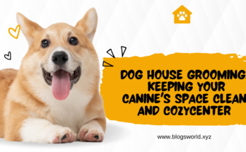 Dog house grooming : Keeping Your Canine's Space Clean and Cozy