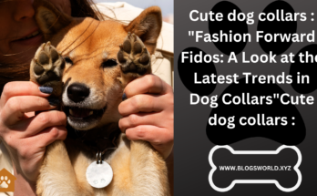 CUTE DOG COLLARS