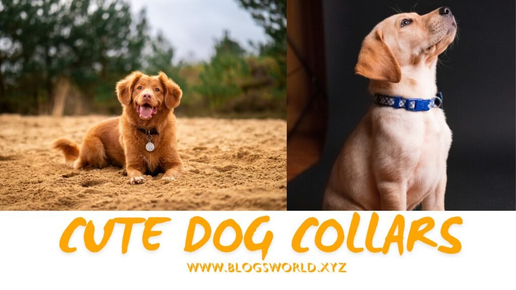 Cute dog collars