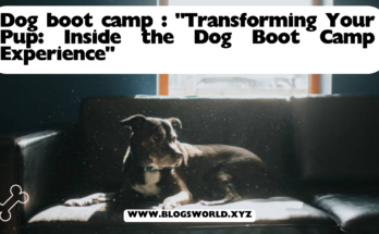 Dog boot camp : "Transforming Your Pup: Inside the Dog Boot Camp Experience"