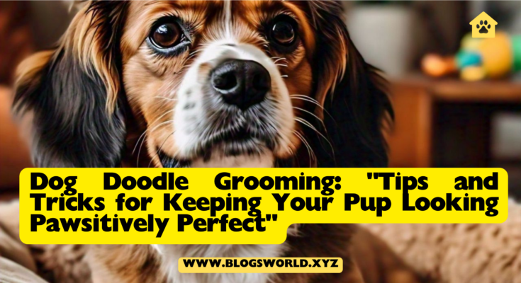 Dog Doodle Grooming: