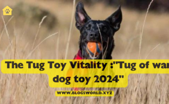 The Tug Toy Vitality