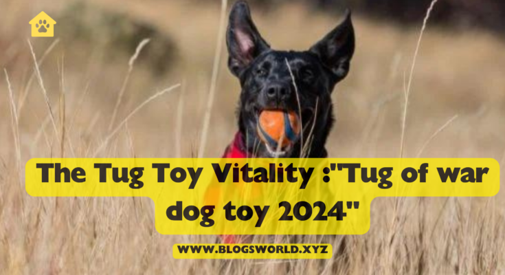 The Tug Toy Vitality