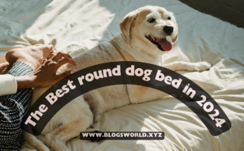 The Best round dog bed in 2024