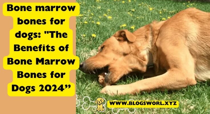 Bone marrow bones for dogs