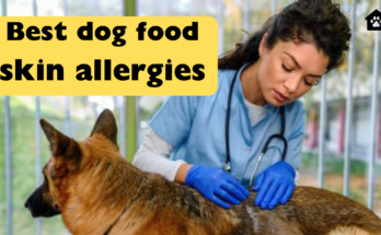 Best dog food skin allergies :