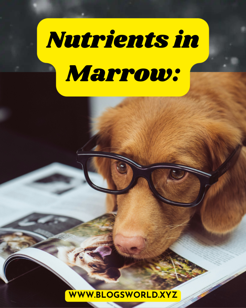 Benefits & Tips Bone marrow bones for dogs 