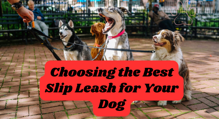 Slip leash for dog :The Best Slip Leash for Your Dog