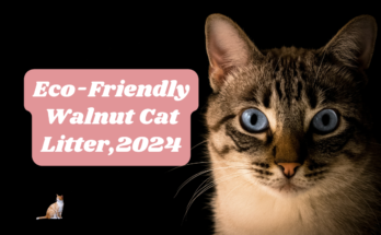 Walnut Cat Litter:Eco-Friendly Walnut Cat Litter,2024