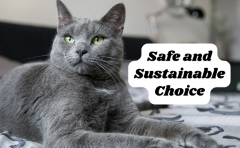 Tofu cat litter : Safe and Sustainable Choice