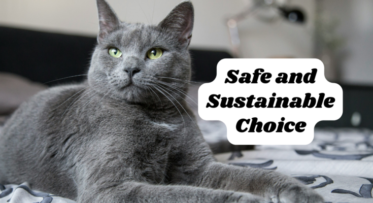 Tofu cat litter : Safe and Sustainable Choice