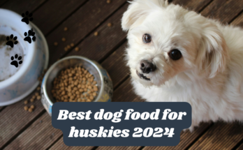 Best dog food for huskies 2024