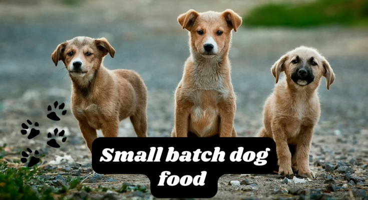 Small batch dog food : Healthy Homemade Small Batch Dog Food