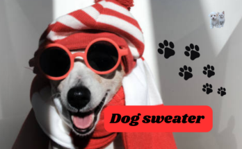 Dog sweater