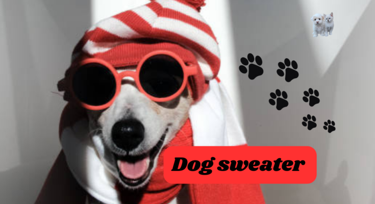 Dog sweater