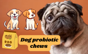 Dog probiotic chews