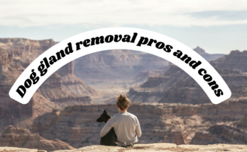 Dog gland removal pros and cons