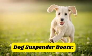 Dog Suspender Boots