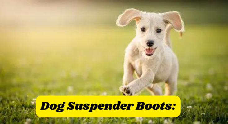 Dog Suspender Boots