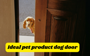 Ideal pet product dog door