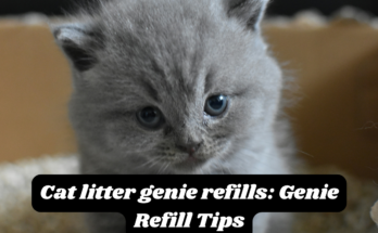 Cat litter genie refills: Genie Refill Tips