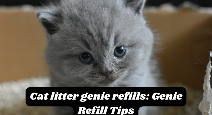 Cat litter genie refills: Genie Refill Tips